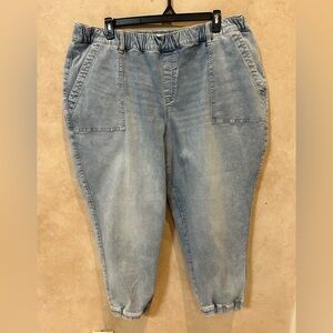 Lane Bryant stone wash jogger size 24